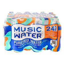24 Pack Bottled Water